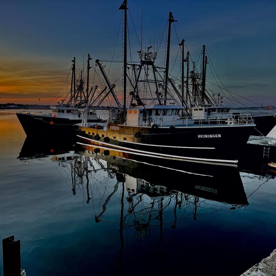 Artists & Photographers Spotlight 3 South Coast Spotlight News Reporter Dana