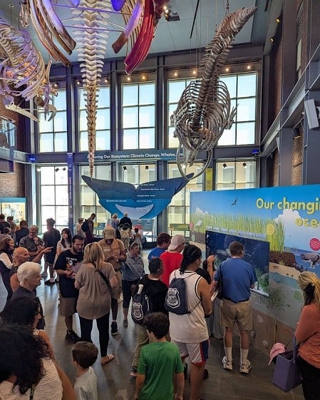 New Bedford Police Connect with Community at Successful Whaling Museum Free Day 2 744858503 1059146480398244 4167195062250073821 n