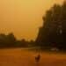 Wildfire Smoke From Canada Creates Hazardous Air Quality Across Southern New England 2 745487824 18602723476057467 7080147707536495938 n