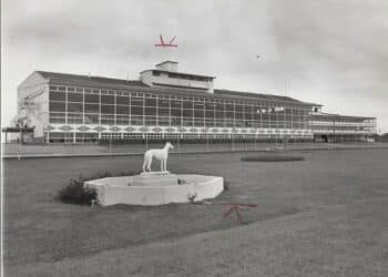 Dog track southcoast spotlight