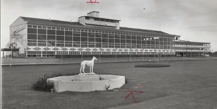 Dog track southcoast spotlight