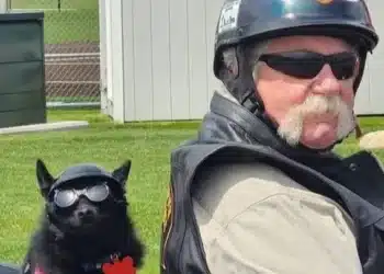 Gofundme southcoast spotlight
