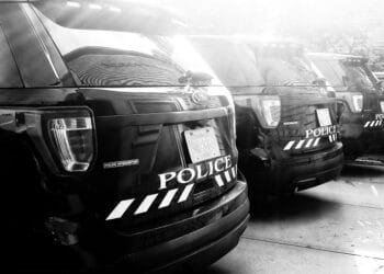 Tisbury police south coast spotlight