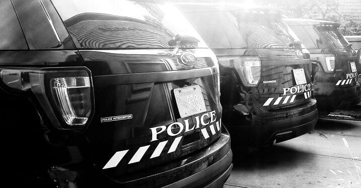 Tisbury police south coast spotlight