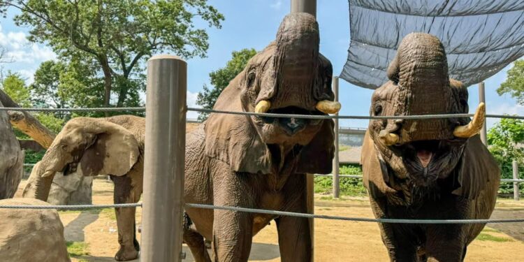 roger williams zoo southcoast spotlight
