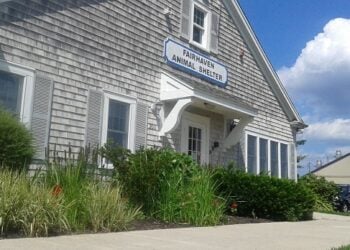 AN IMPORTANT MESSAGE FROM THE FAIRHAVEN ANIMAL SHELTER 15 FairhavenShelter