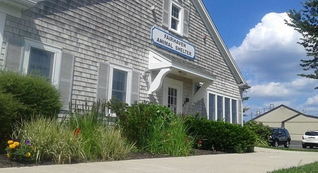 AN IMPORTANT MESSAGE FROM THE FAIRHAVEN ANIMAL SHELTER 1 FairhavenShelter