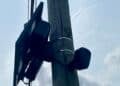 New Bedford Police Department Temporarily Suspends Flock Safety Technology Pending Review 14 Flock NewBedford