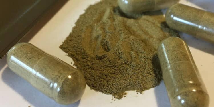 Massachusetts Moves to Ban Kratom Sales Statewide Amid Growing Health Concerns 1 FILE - This Sept. 27, 2017 file photo shows kratom capsules in Albany, N.Y. (AP Photo/Mary Esch, File)