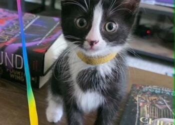 PetOfTheWeek