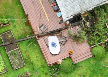 61-Year-Old Plymouth Woman Killed After Tree Falls on Porch During Wind Gust 10 Photo Credit - David Curran