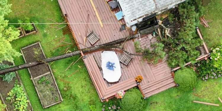 61-Year-Old Plymouth Woman Killed After Tree Falls on Porch During Wind Gust 1 Photo Credit - David Curran