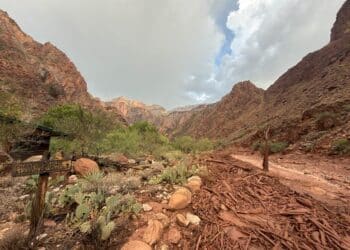Photo Credit - Grand Canyon National Park