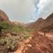 Photo Credit - Grand Canyon National Park