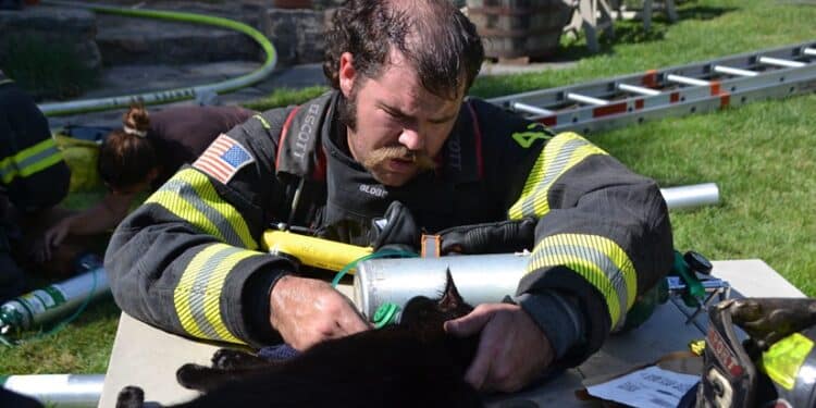 Firefighters Rescue Three Animals During Westport Point Structure Fire 1 Photo Credit - Westport Fire Dept