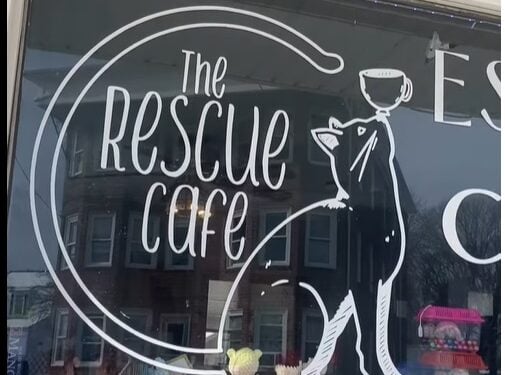 Seven Months of Roadwork—and The Rescue Cafe Doesn't Know When It Will End 1 RescueCafe
