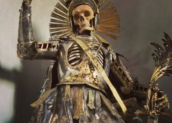 SkeltoninArmor