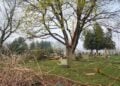 StormDamage 1