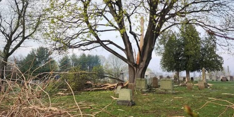 Powerful Nor'easter Approaching SouthCoast; High Wind Alerts Issued for New Bedford and Fall River 1 StormDamage 1