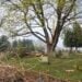 StormDamage 1