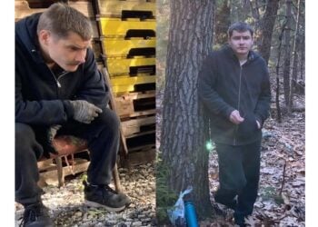 TimofeyMissing