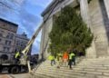 The City of New Bedford is Already Looking For Its Perfect Christmas Tree! 20 XmasTreeNB