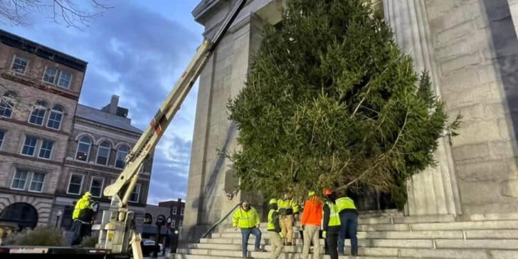 The City of New Bedford is Already Looking For Its Perfect Christmas Tree! 1 XmasTreeNB