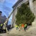 The City of New Bedford is Already Looking For Its Perfect Christmas Tree! 3 XmasTreeNB