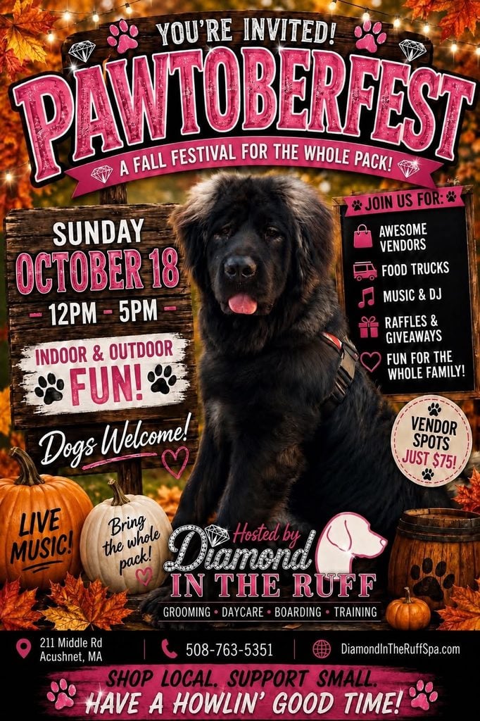 Fall Festival Fan-Favorite: Pawtoberfest 2026 Brings Food Trucks, Local Makers, and Family Fun to Acushnet Next Sunday 3 793478579 1658902306244594 5376258606759814372 n 2