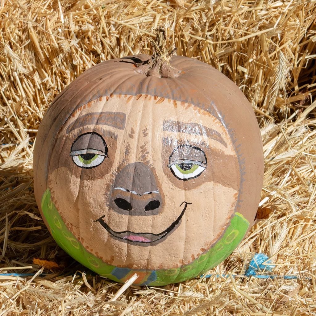 The Buttonwood Park Zoo Is Hosting a Pumpkin Decorating Contest! 2 829806363 1842554883580363 4813432653725644803 n
