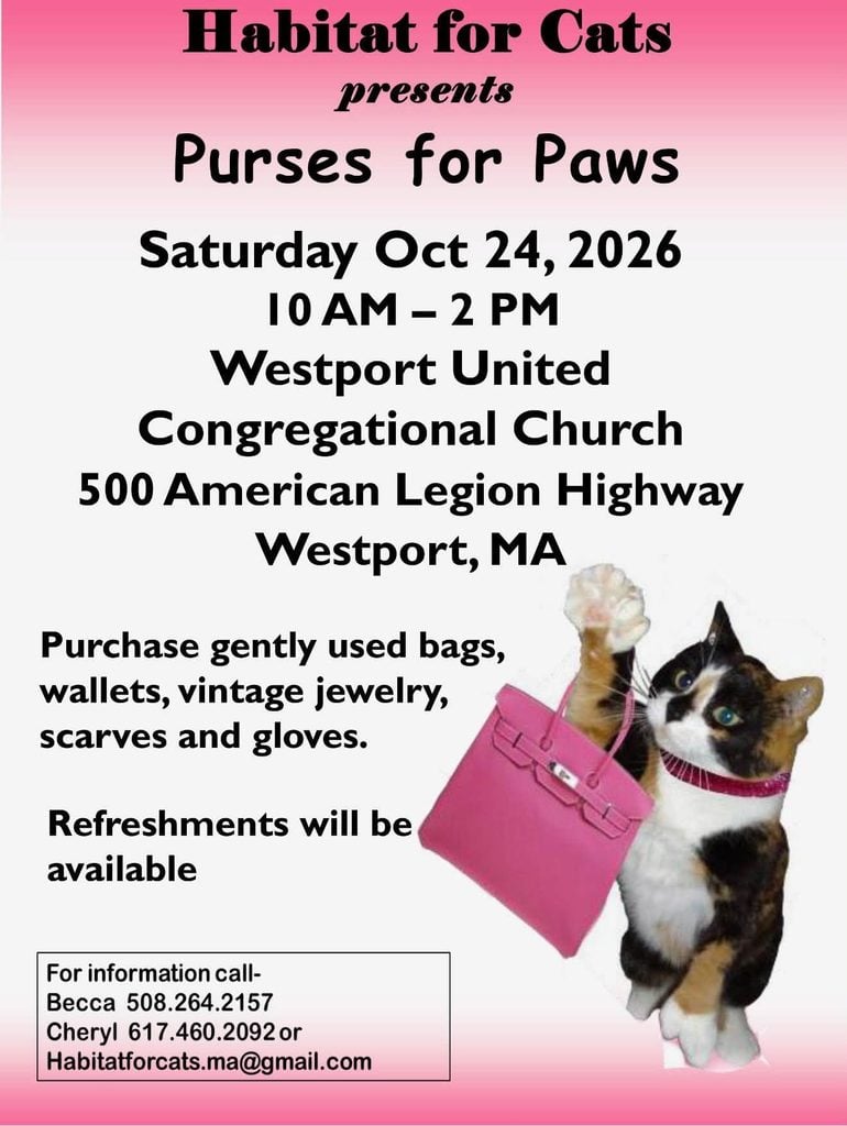 Paws, Purses, and Purpose: How a Local Westport Event is Transforming Gently Used Treasures into Lifesaving Care 2 864717443 1527595722513266 5731948338731473016 n