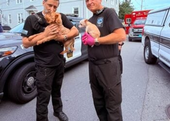 City of Fall River EMS