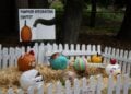 The Buttonwood Park Zoo Is Hosting a Pumpkin Decorating Contest! 12 BP Zoo Photo