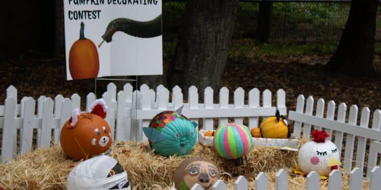 The Buttonwood Park Zoo Is Hosting a Pumpkin Decorating Contest! 1 BP Zoo Photo
