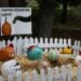 The Buttonwood Park Zoo Is Hosting a Pumpkin Decorating Contest! 2 BP Zoo Photo