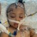 Community Rallies After Devastating Providence Stabbing Attack Leaves Young Child and Mother Hospitalized 2 GoFundMe Photo