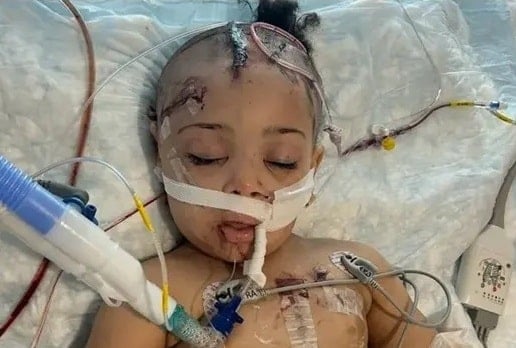 Community Rallies After Devastating Providence Stabbing Attack Leaves Young Child and Mother Hospitalized 1 GoFundMe Photo