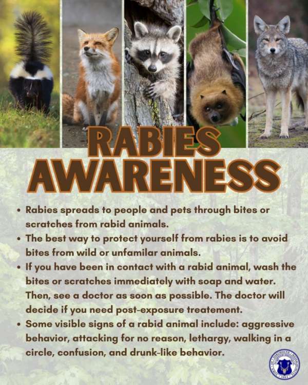 Rabies Alert Issued for Dartmouth Residents Following Positive Test 2 Rabies