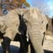 Roger Williams Park Zoo Photo