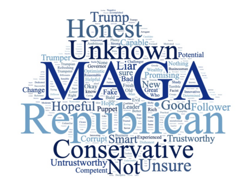 New UMass Amherst Poll Shows Healey With Commanding 25-Point Lead Over Minogue in Massachusetts Governor Race 2 UMass Poll Minogue Word Cloud Oct26