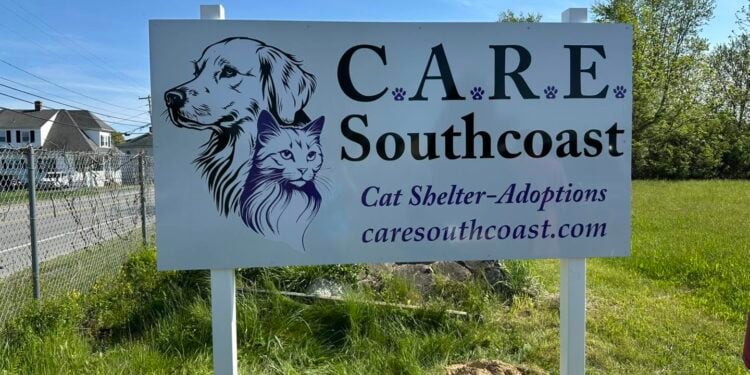 Extra Paws Needed: How You Can Make a Life-Saving Difference for Local Rescue Cats 1 careSouthcoast