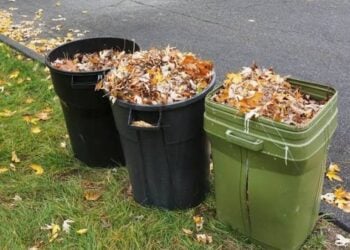 yardWaste