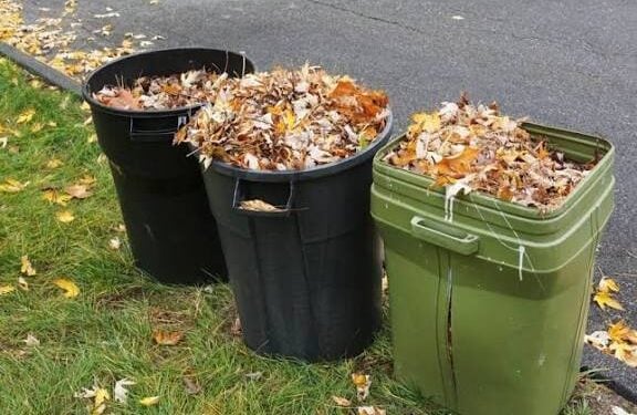 New Bedford 2026 Yard Waste Collection: Schedule, Guidelines, and Pickup Rules 1 yardWaste